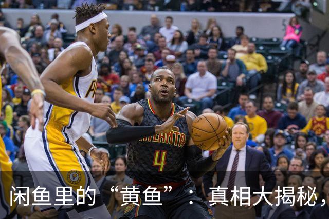 闲鱼里的“黄鱼”：真相大揭秘，别让流量“捞”了底线！